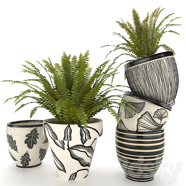 fern in vase 01 - indoor plant 3D Model