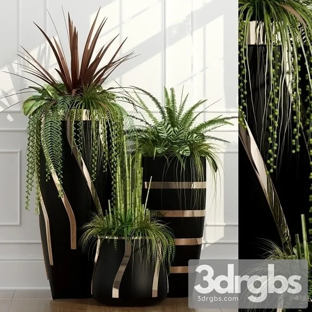 Fern Plant Pots 3D Model Free