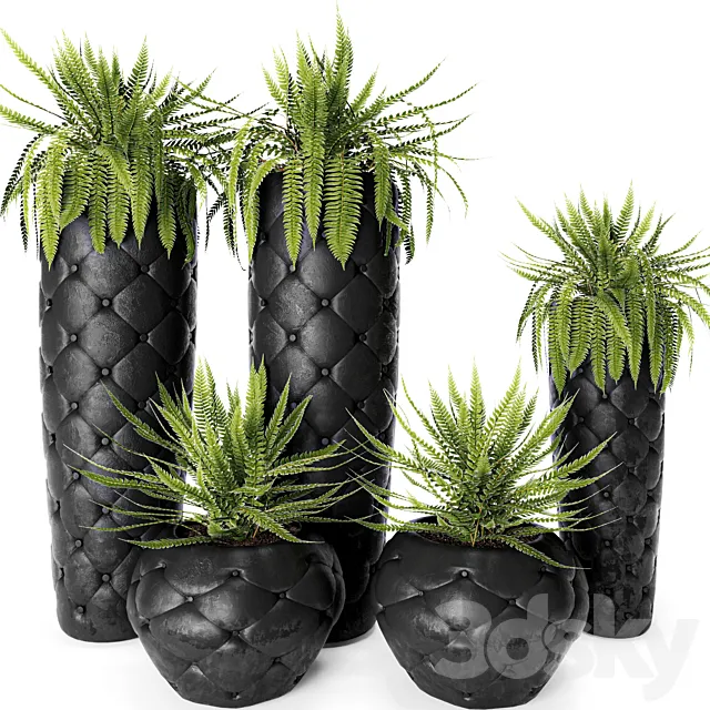 FERN + POTS Fleur Ami luxury flower pot flowerpot fern 3D Model