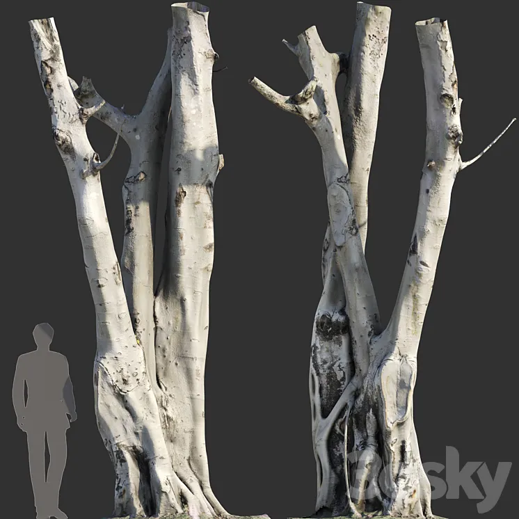 Ficus religiosa Tree Trunk 3D Model Free