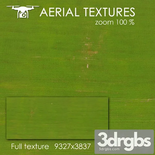 Field 130 3D Model Free