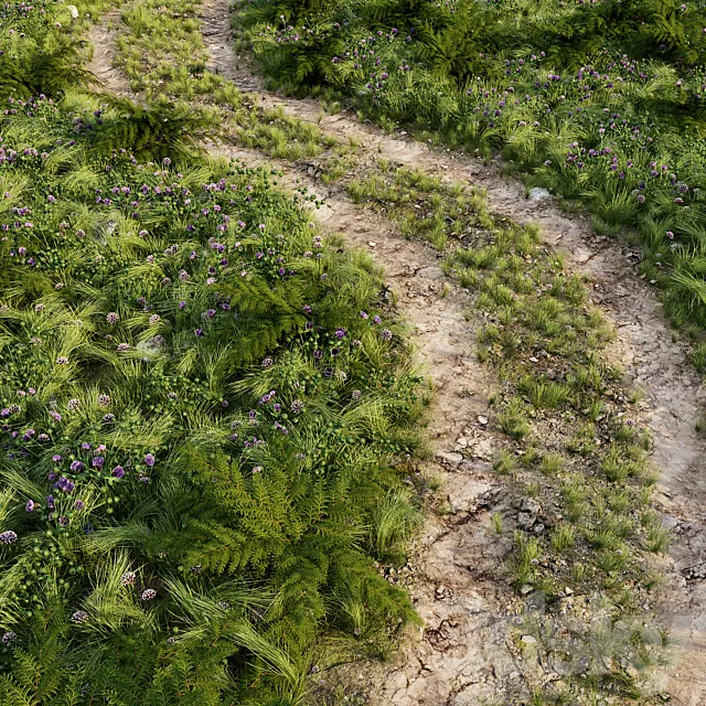 Field road 3D Model