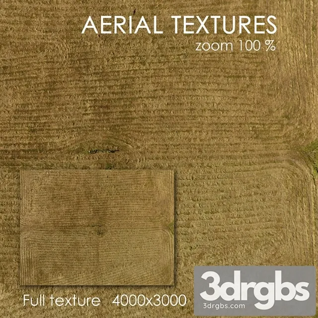Field with grass 3D Model Free