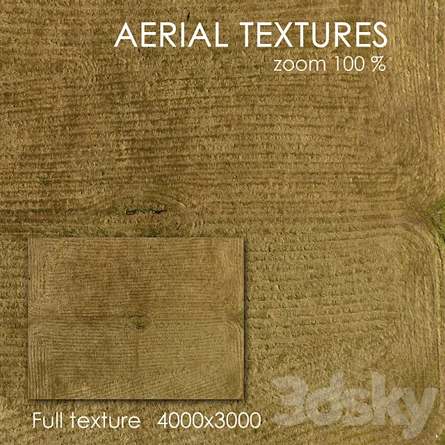 Field with grass 3D Model