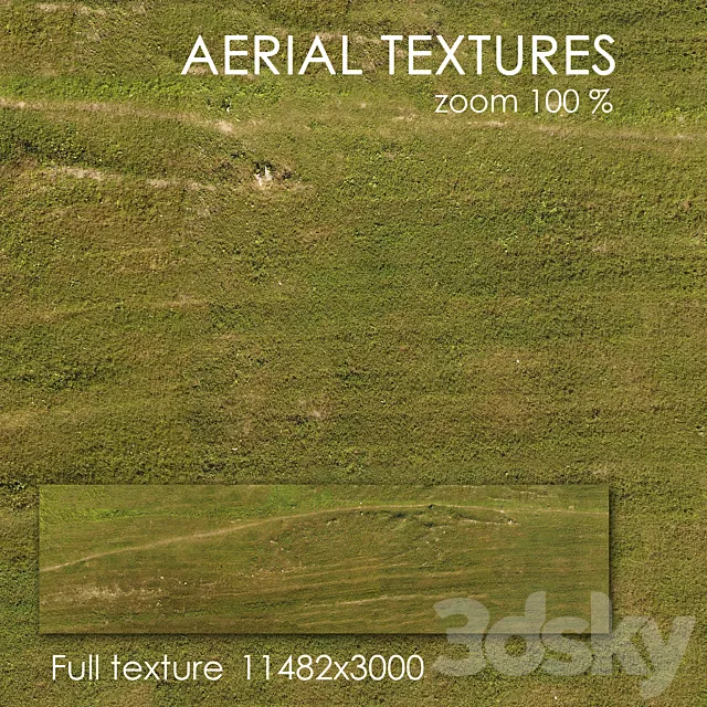 Field with grass 49 3D Model