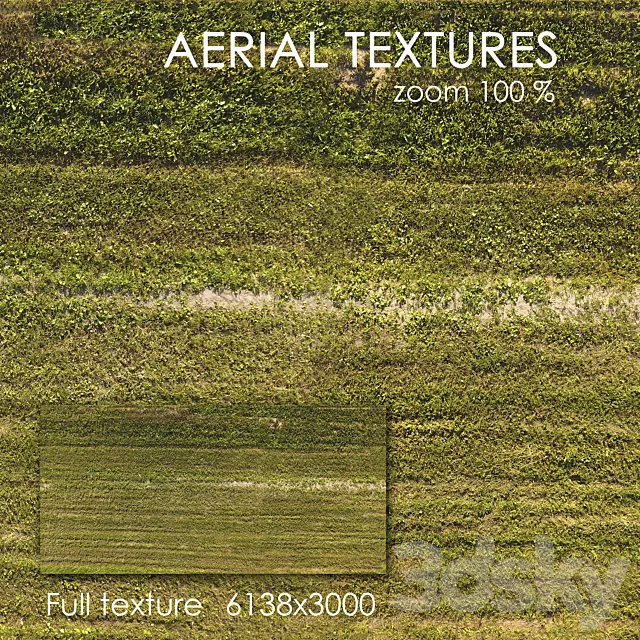 Field with grass 51 3D Model