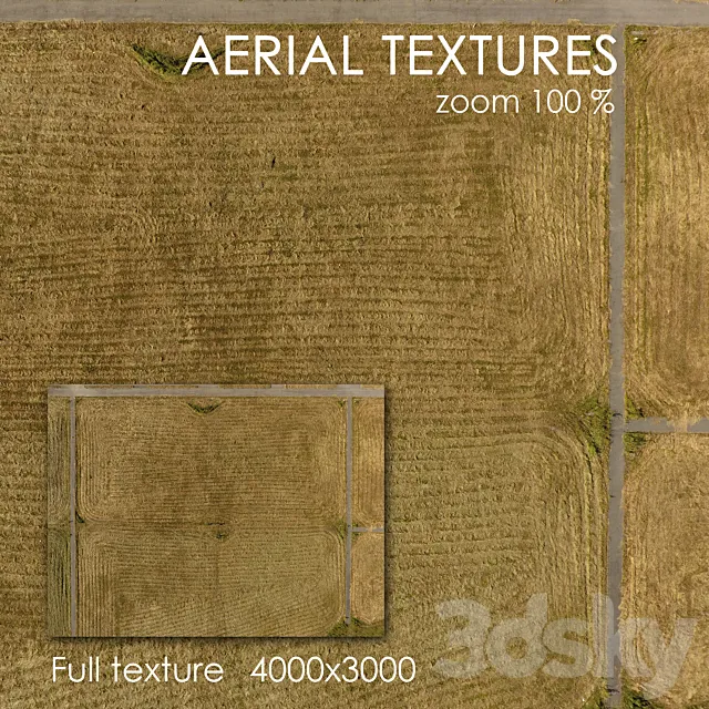 Field with grass 60 3D Model