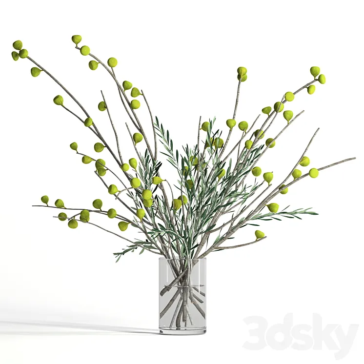 Fig and olive branches 3D Model Free
