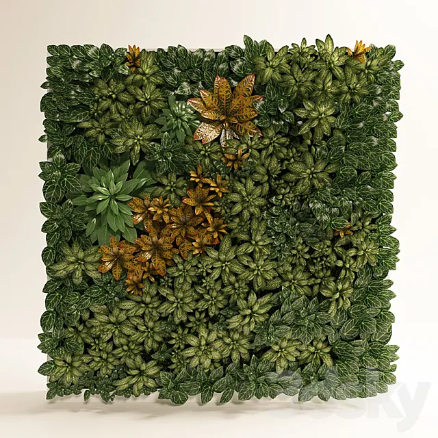 Fitostena fitomodul of tropical plants 3D Model