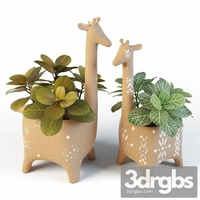 Fittonia Giraffe Pots 3D Model Free