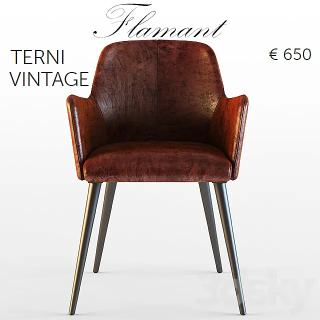 Flamant _ ARMCHAIR TERNI VINTAGE 3DModel