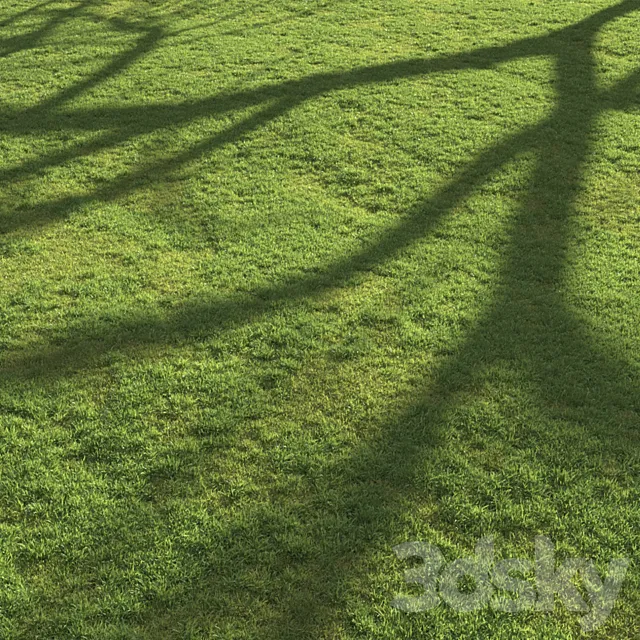 Flat grass Free Download