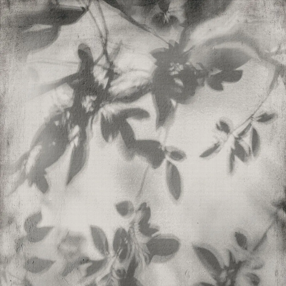 Flaviker - Porcelain slabs Shadow 3D Model