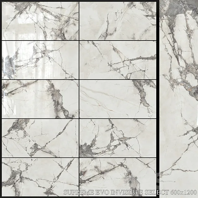 Flaviker Supreme Evo Invisible Select 600x1200 3D Model