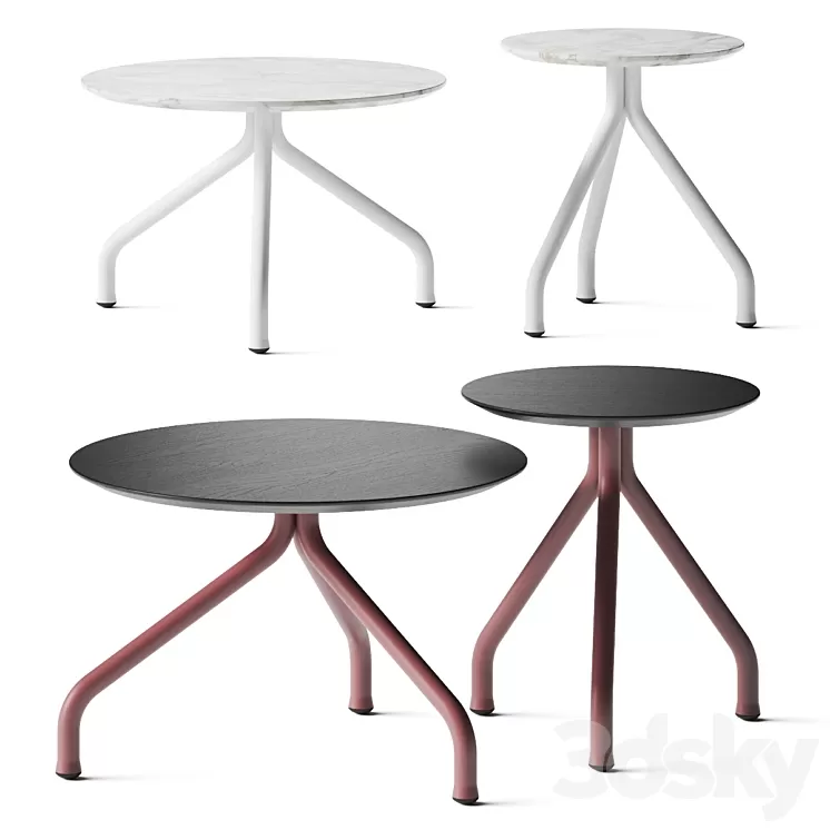 Flexform Academy Coffee Tables 3D Model