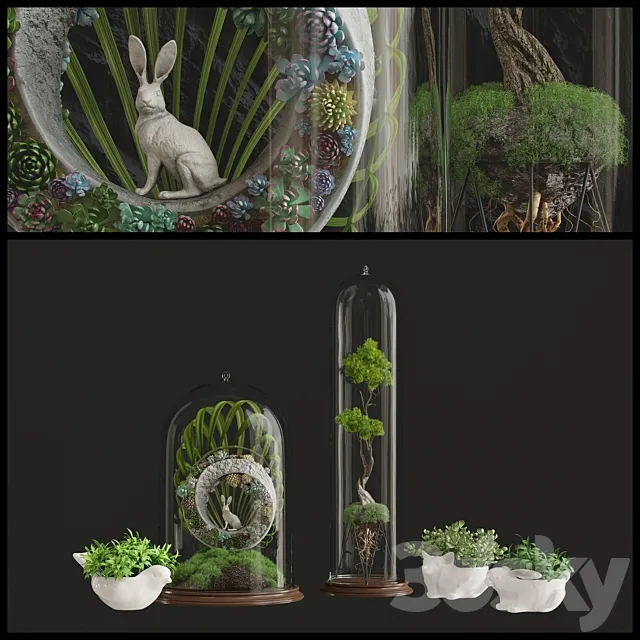 Florarium 3D Model