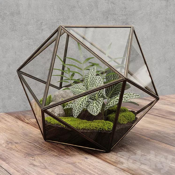 Florarium icosahedron 3D Model