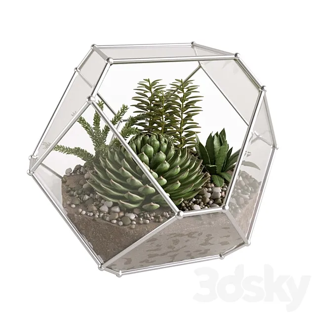 Florarium with succulents 3D Model