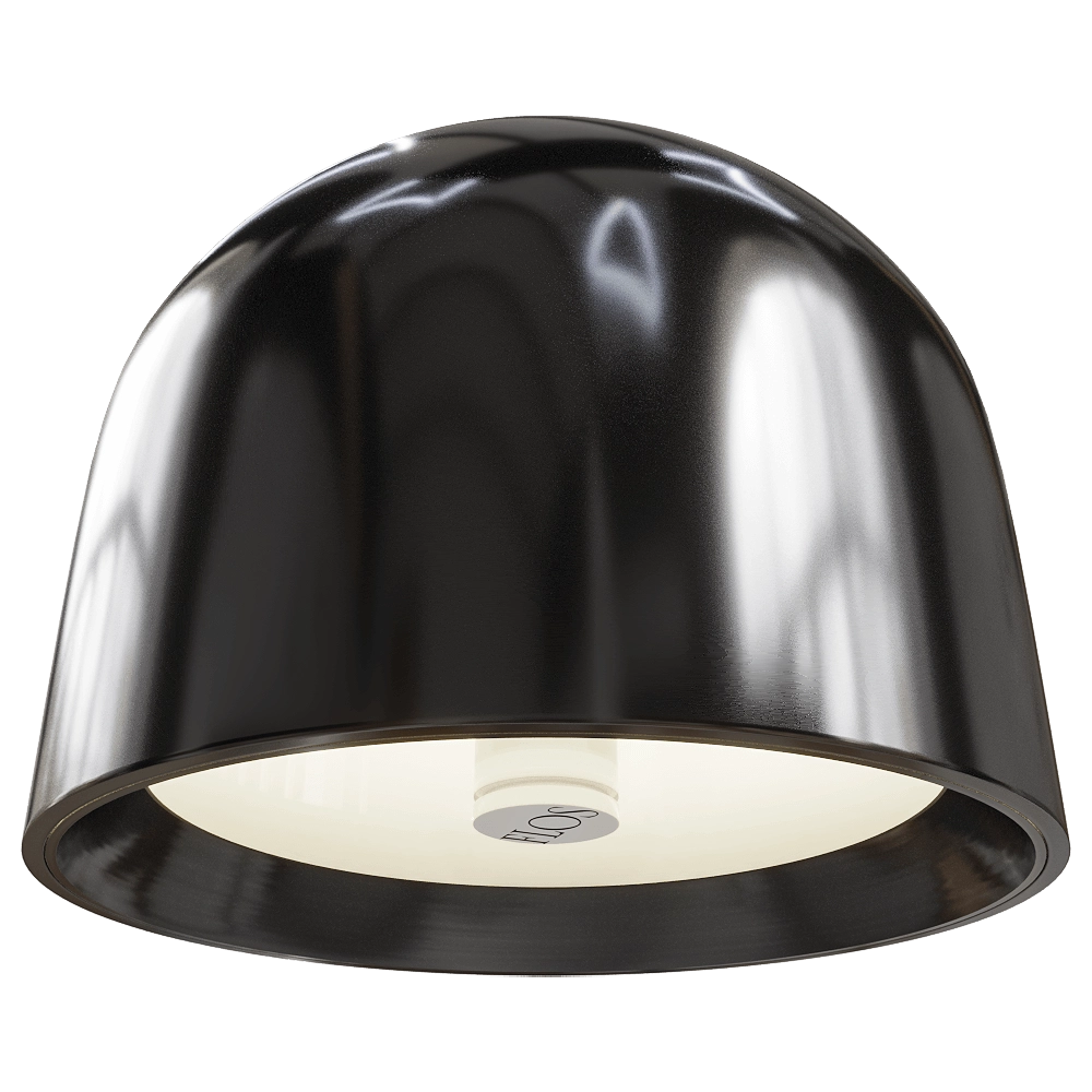 FLOS - Ceiling/Wall lamp Wan 3D Model