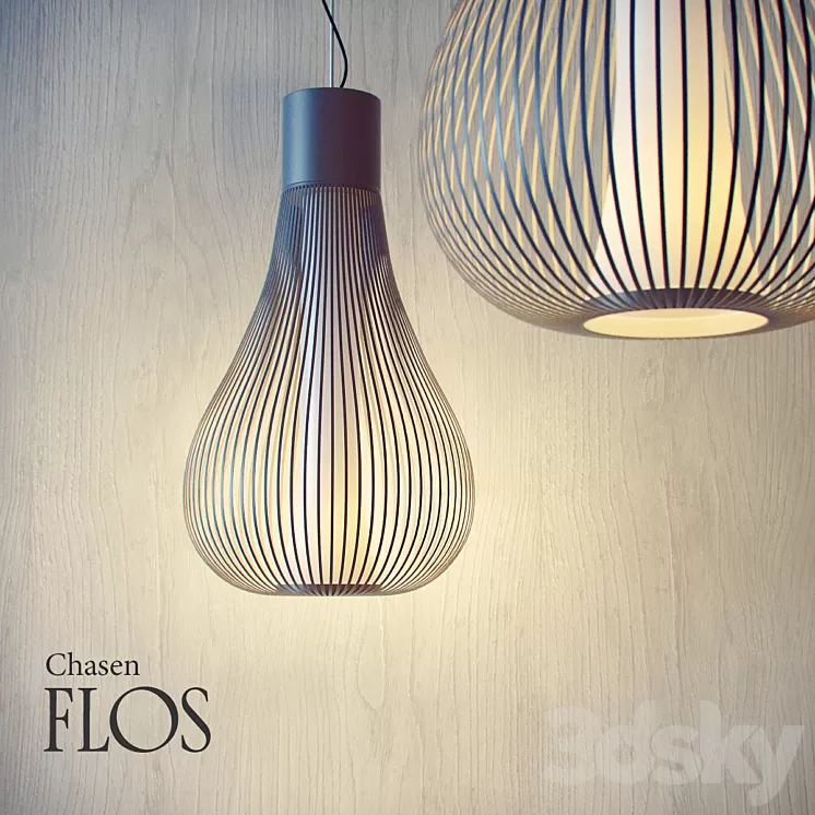 Flos-Chasen 3D Model