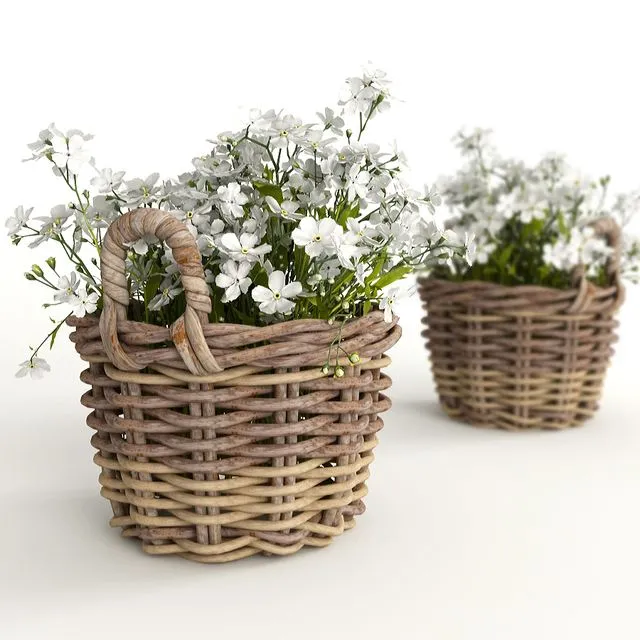 Flower baskets 3D Model