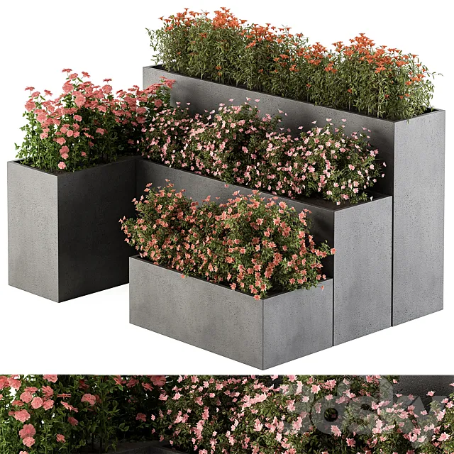 Flower Box - Outdoor Plants 436 3D Model