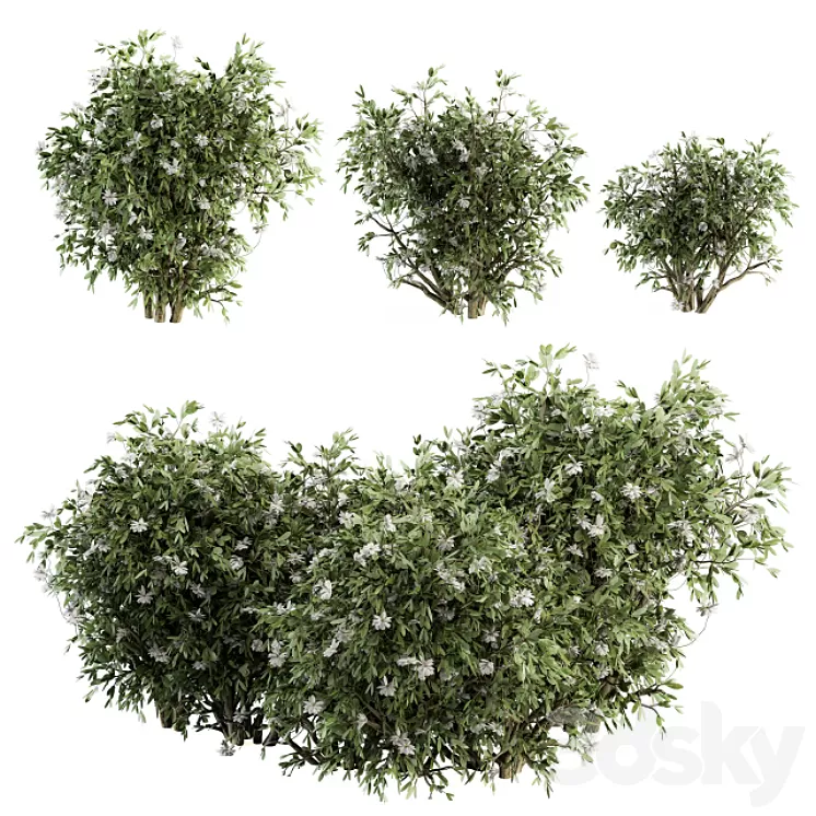 Flower Bush - Bush Set 15 3D Model