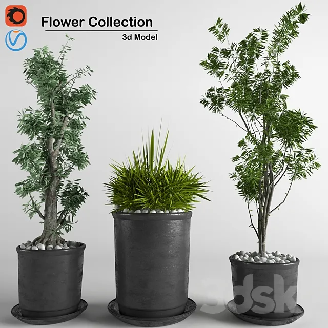 flower collection 3p 3DModel