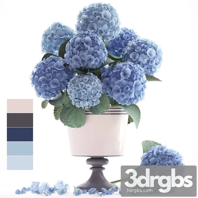 Flower Collection 56 Hydrangea Blue Flowers Flower Vase Branch 3D Model Free