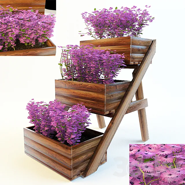 flower discounts 3DModel