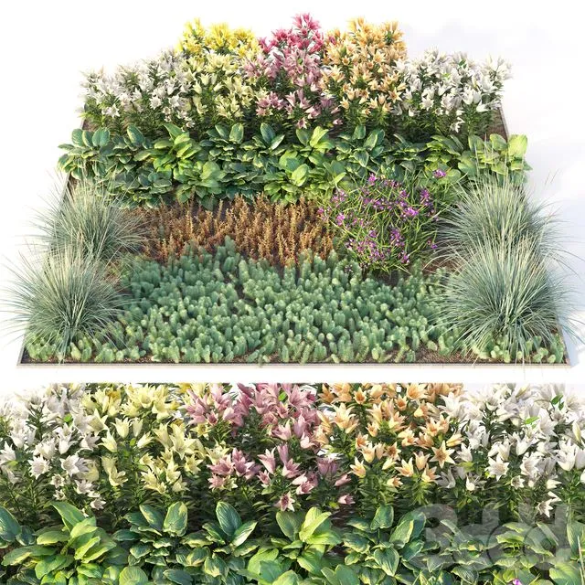 Flower garden 002 3D Model
