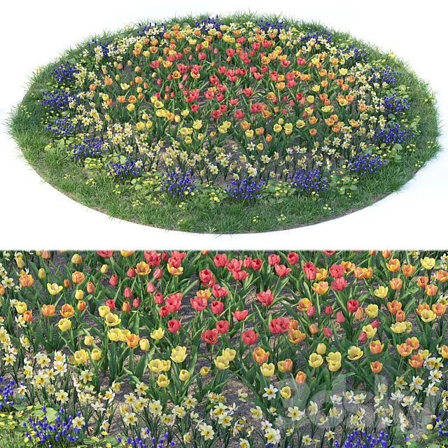 Flower garden 6 3D Model