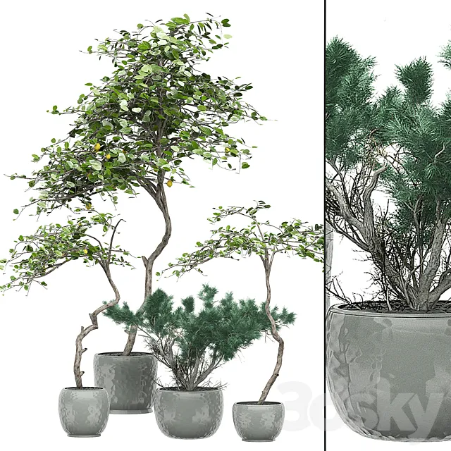 Flower pack 135 3D Model