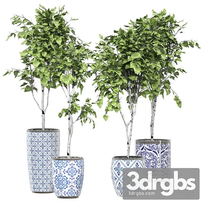 Flower Pack 147 3D Model Free