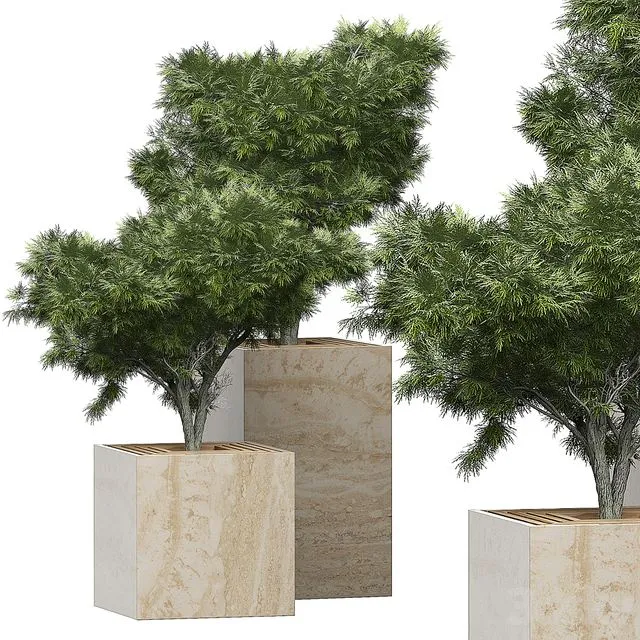 Flower Pack 153 3D Model