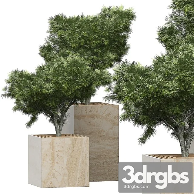 Flower Pack 153 3D Model Free