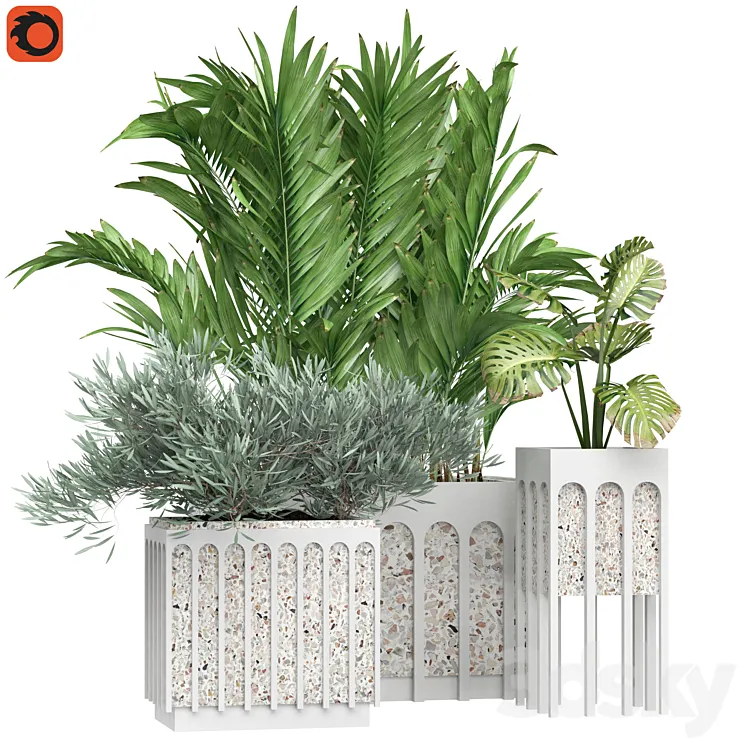 Flower Pack 166C 3D Model Free