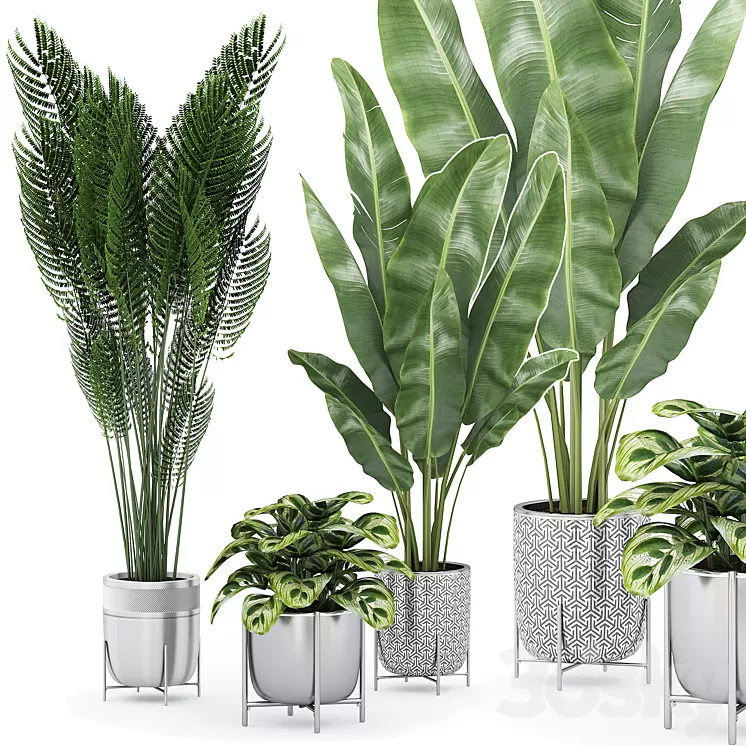 Flower Pack 225С 3D Model Free