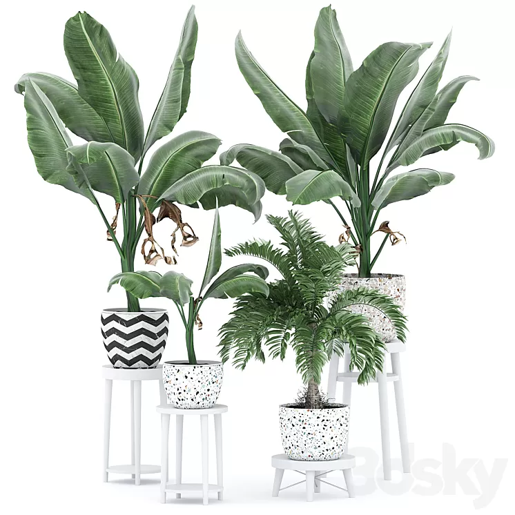 Flower Pack 231С 3D Model Free