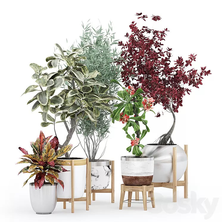 Flower Pack 233С 3D Model Free