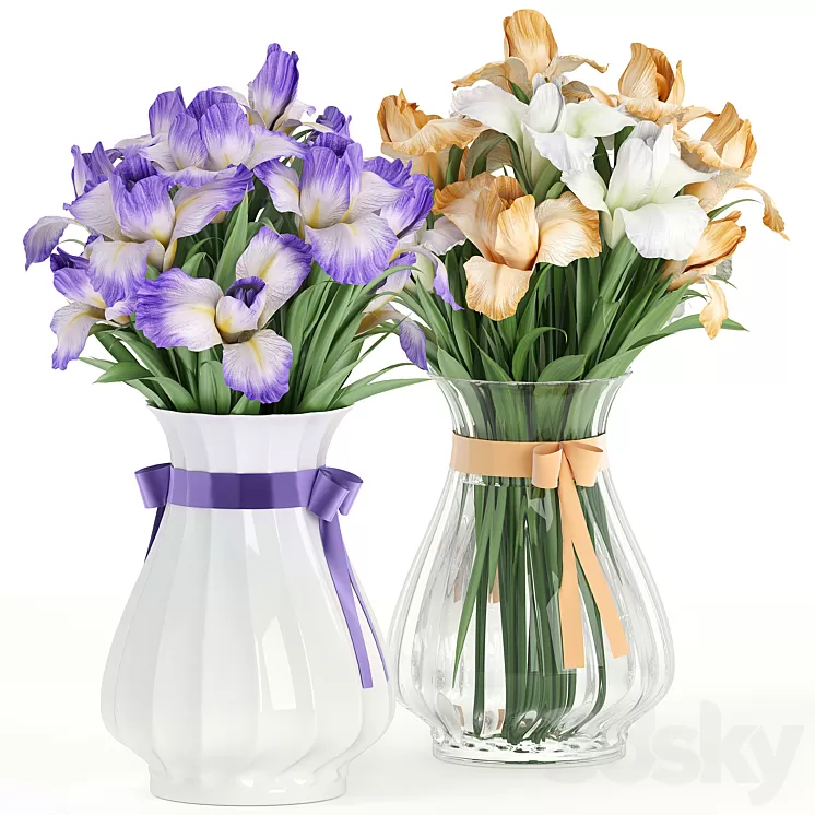 Flower Pack 249C IRIS 3D Model Free