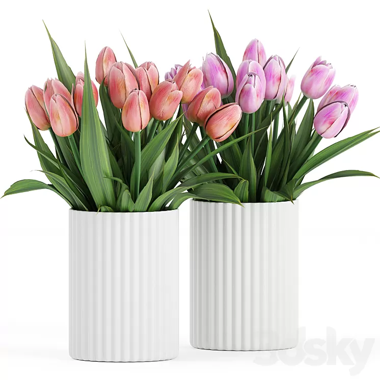 Flower Pack 250C Tulips 3D Model Free