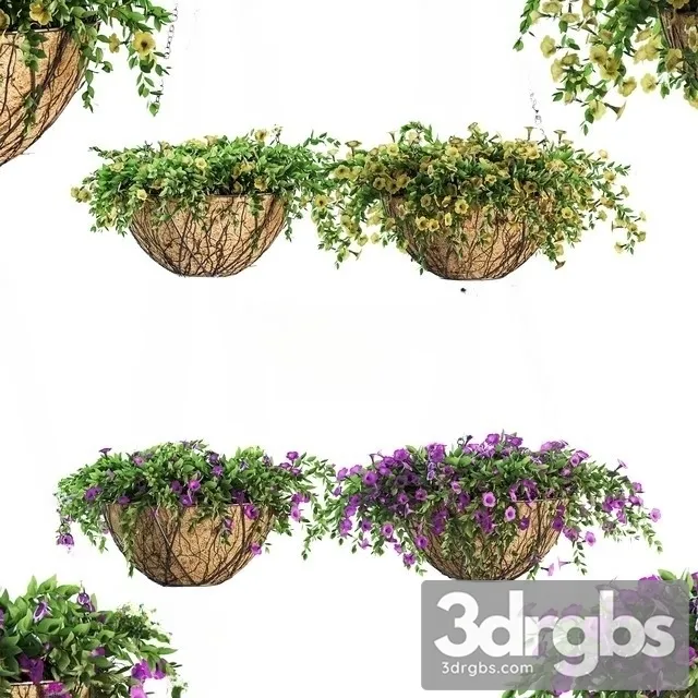 Flower Pot Chain Petunia 4 Models 3D Model Free