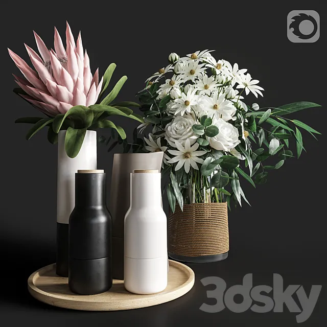 Flower Set 003 Protea and Roses 3DModel