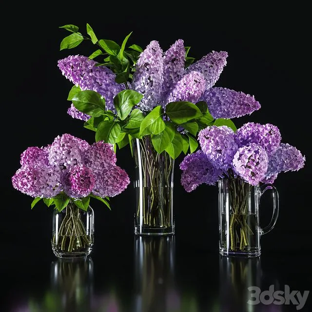 Flower Set 004 3D Model