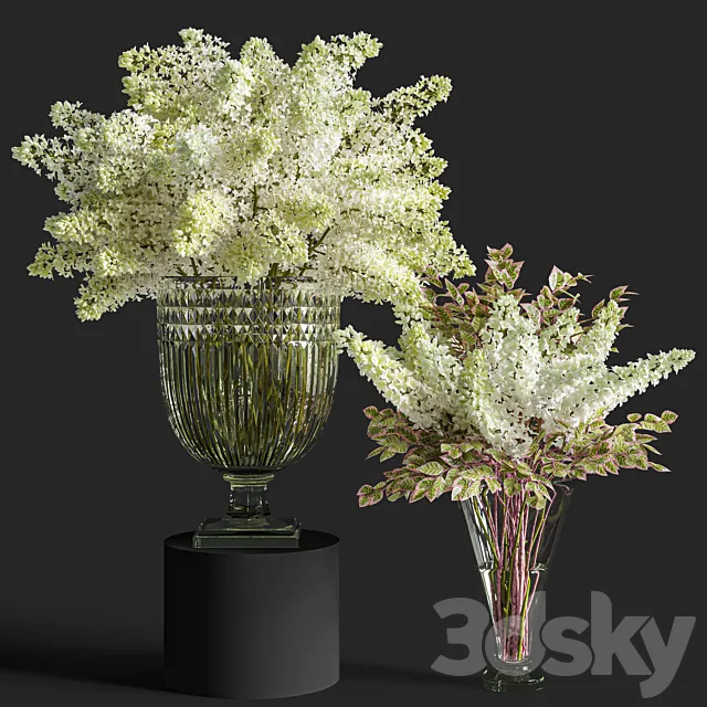 Flower Set 016 Lilac 3D Model
