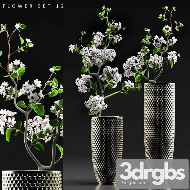 Flower Set 12 3D Model Free