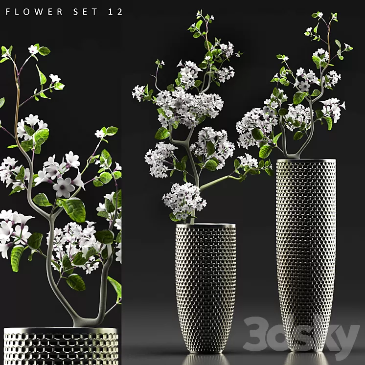 FLOWER SET 12 3D Model