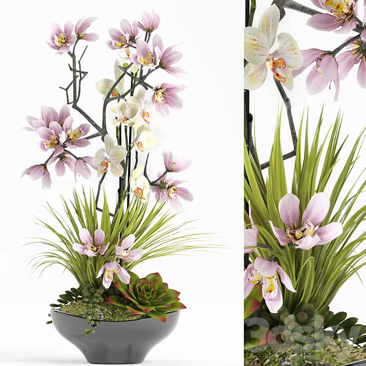 FLOWER SET 21 3D Model