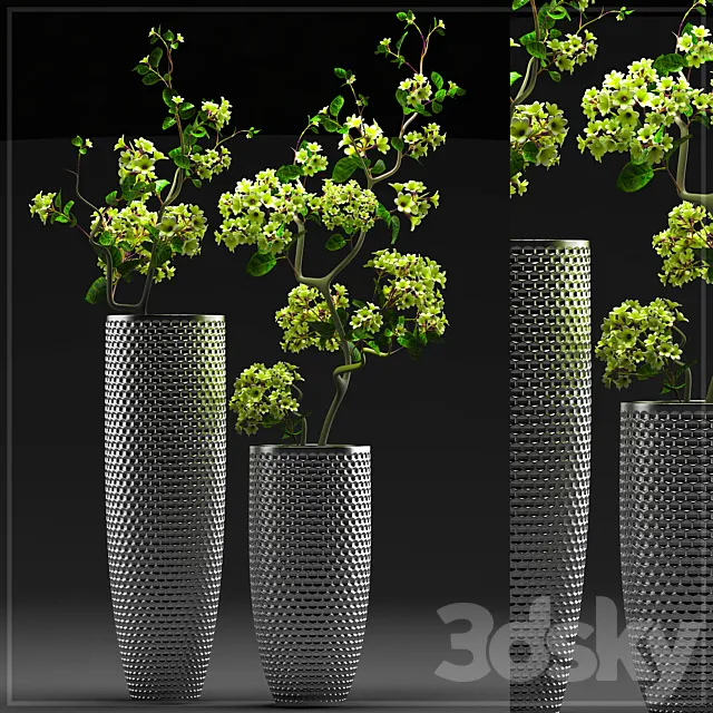 FLOWER SET 3 3DModel